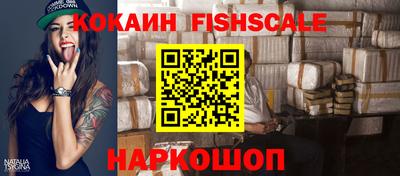 скорость Новозыбков
