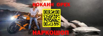 альфа пвп Новодвинск