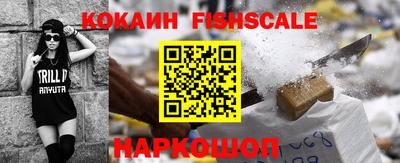 альфа пвп Новодвинск