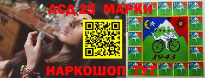 альфа пвп Новодвинск
