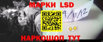 альфа пвп Новодвинск