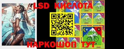 альфа пвп Новодвинск